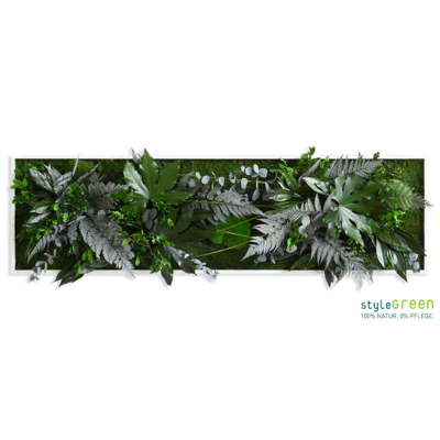 Produktbild: Produktbild "Pflanzenbild im Dschungeldesign 140x40"