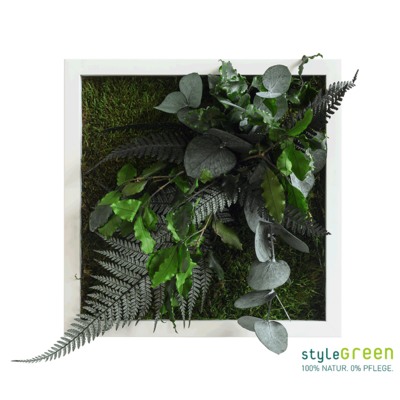 Produktbild: Produktbild "Pflanzenbild im Dschungeldesign 22x22"