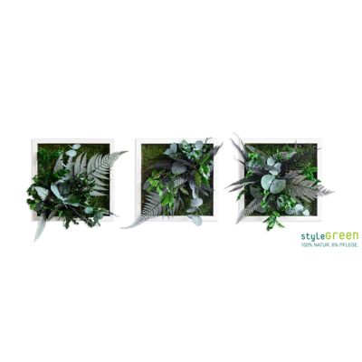 Produktbild: Produktbild "Pflanzenbild im Dschungeldesign 22x22 3er"