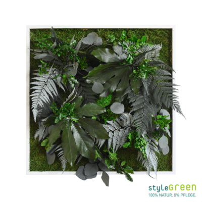 Produktbild: Produktbild "Pflanzenbild im Dschungeldesign 55x55"