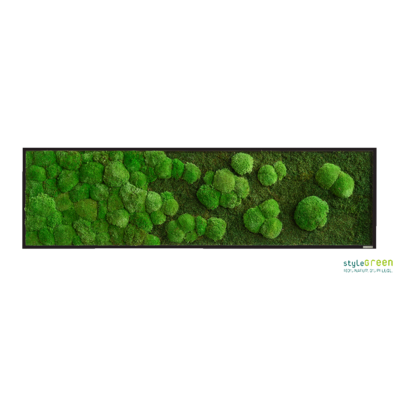 Produktbild: Produktbild "Wald-und Kugelmoos 140x40 Verlauf"