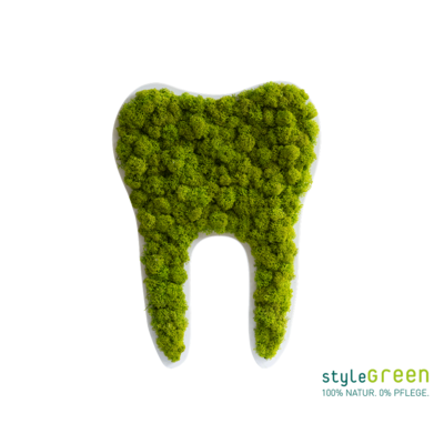 Produktbild: Produktbild "Zahn klein Islandmoos Maigrün (30cm)"