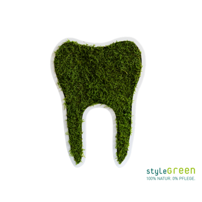 Produktbild: Produktbild "Zahn klein Waldmoos (30 cm)"